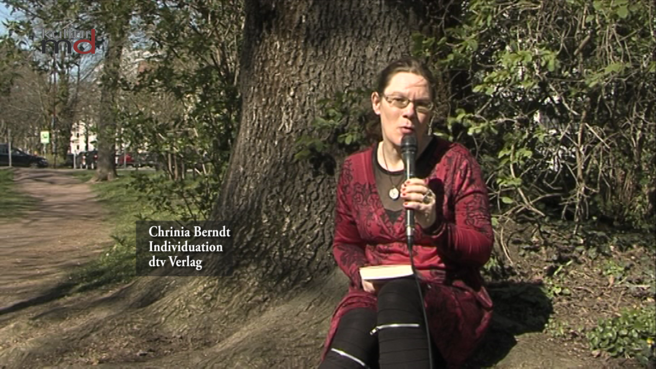 Rezension Christina Berndt - Individuation