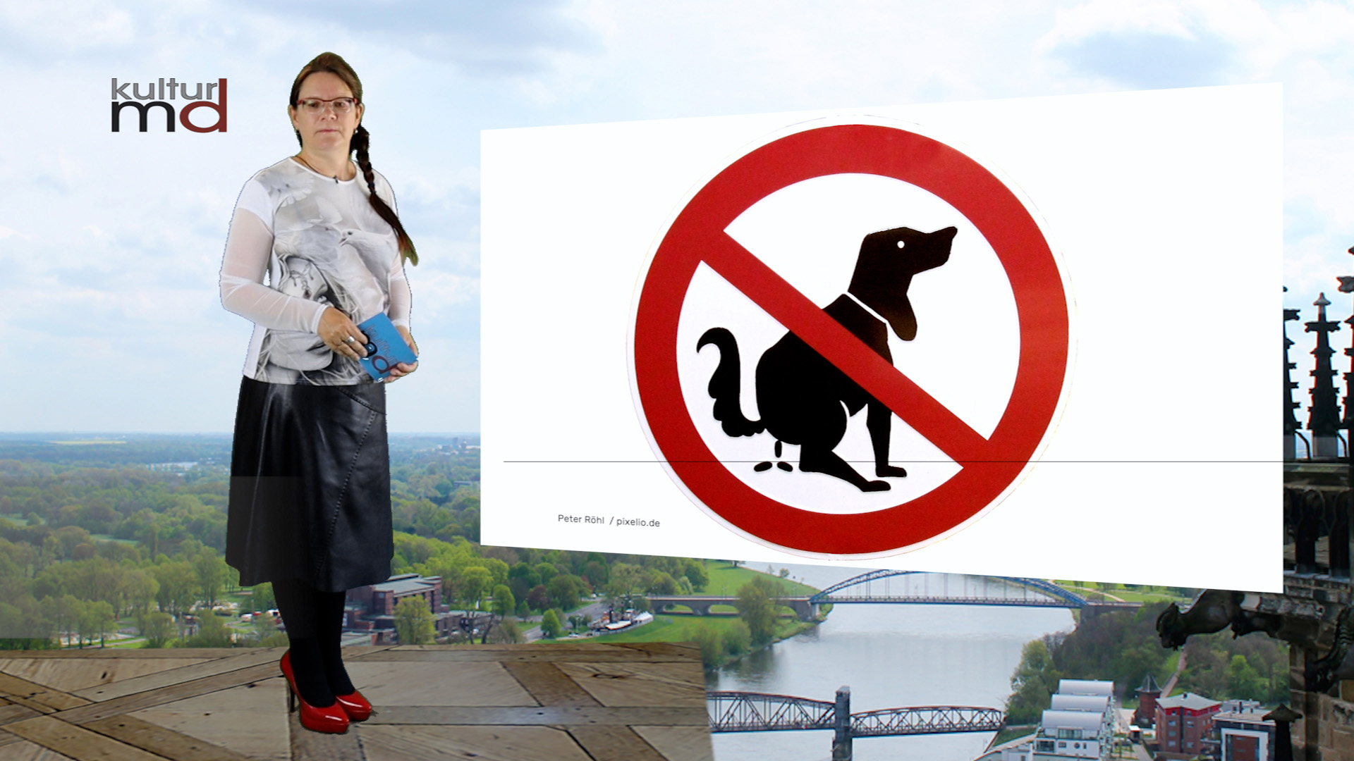 Hundekot richtig entsorgen