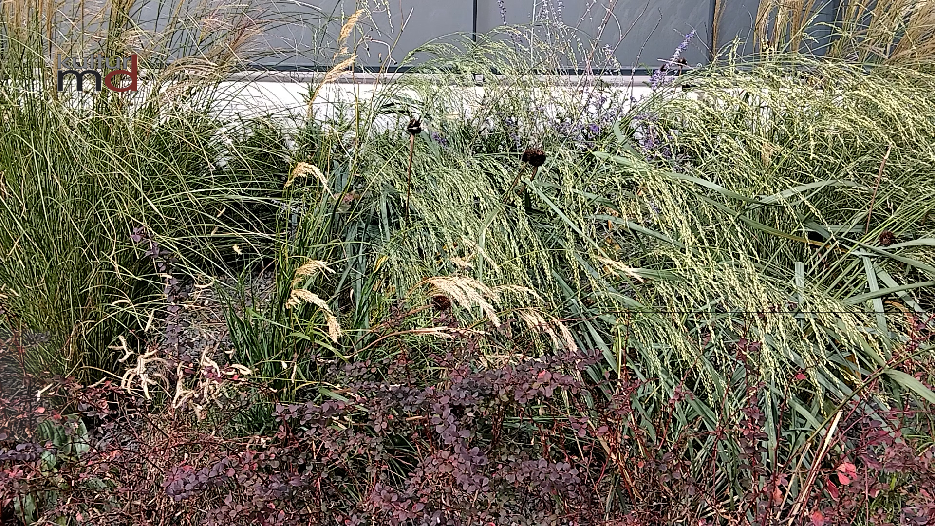 09.10.24: KMD aktuelle 15, Nachrichten 3