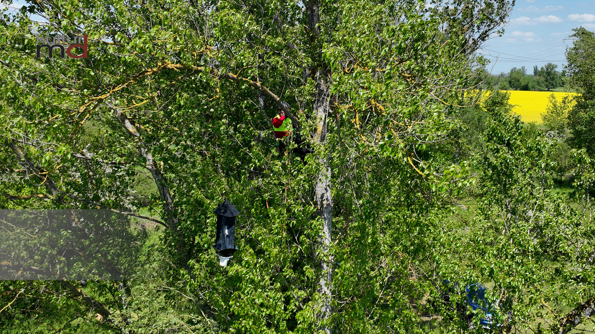 10.07.24: KMD aktuelle 15 Nachrichten