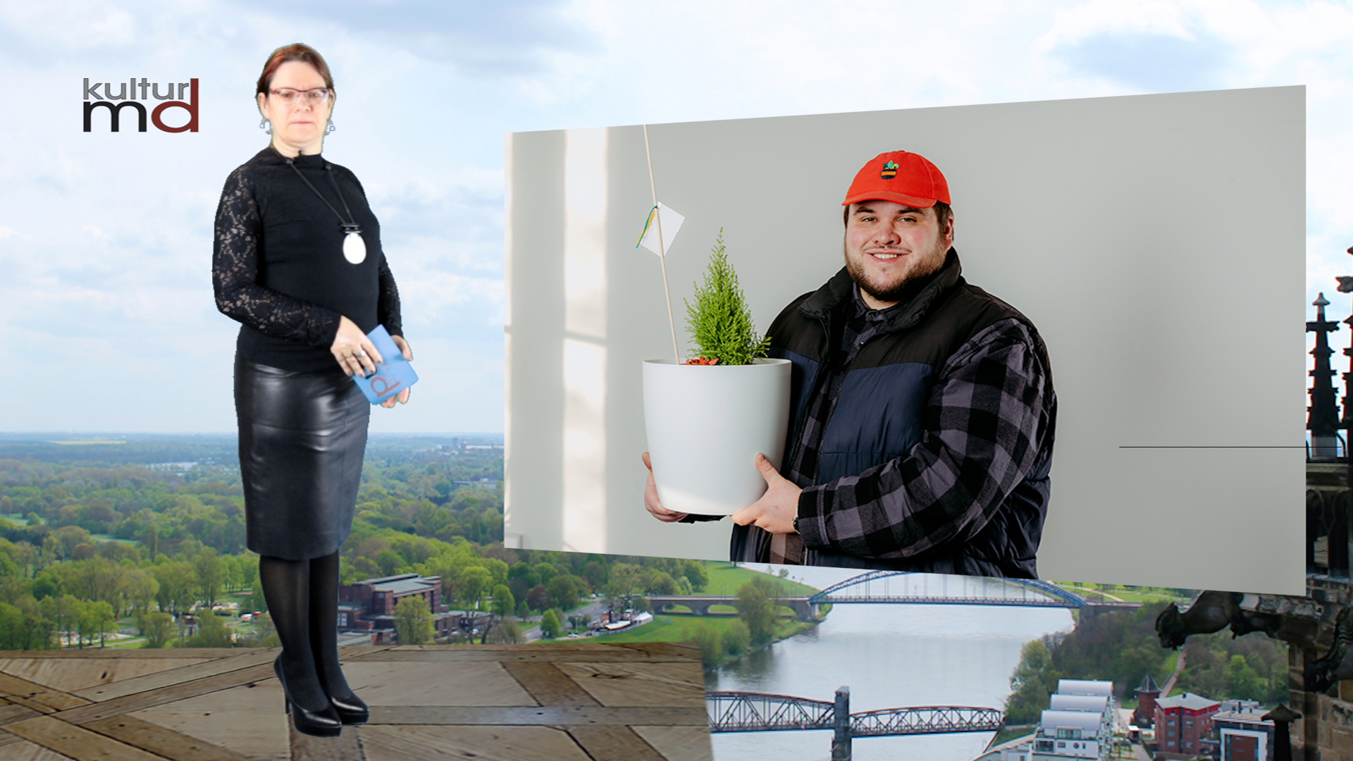 Ein eigener Wald im Wohnzimmer