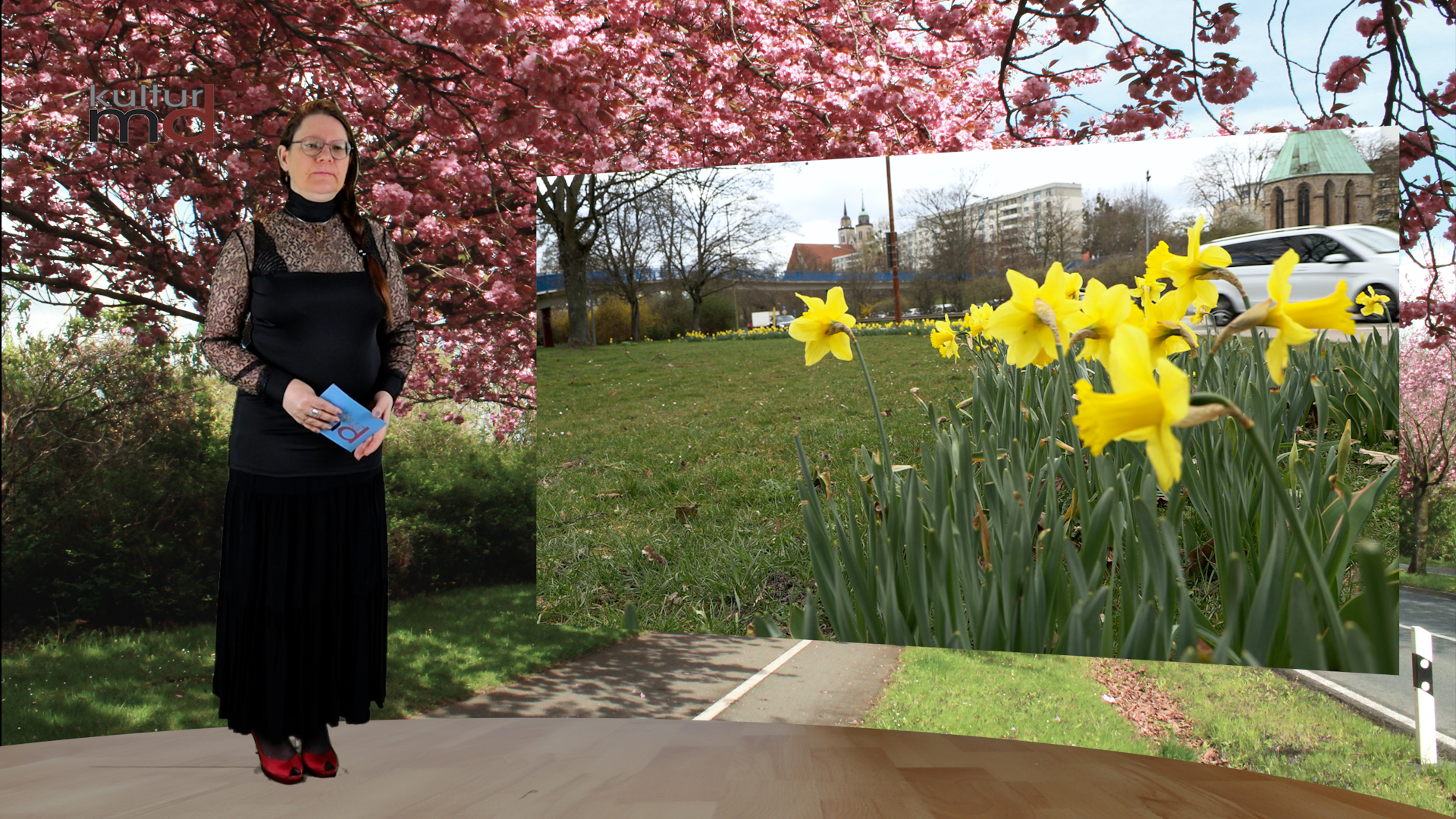 27.03.25: 500.000 Frühblüher für Magdeburg