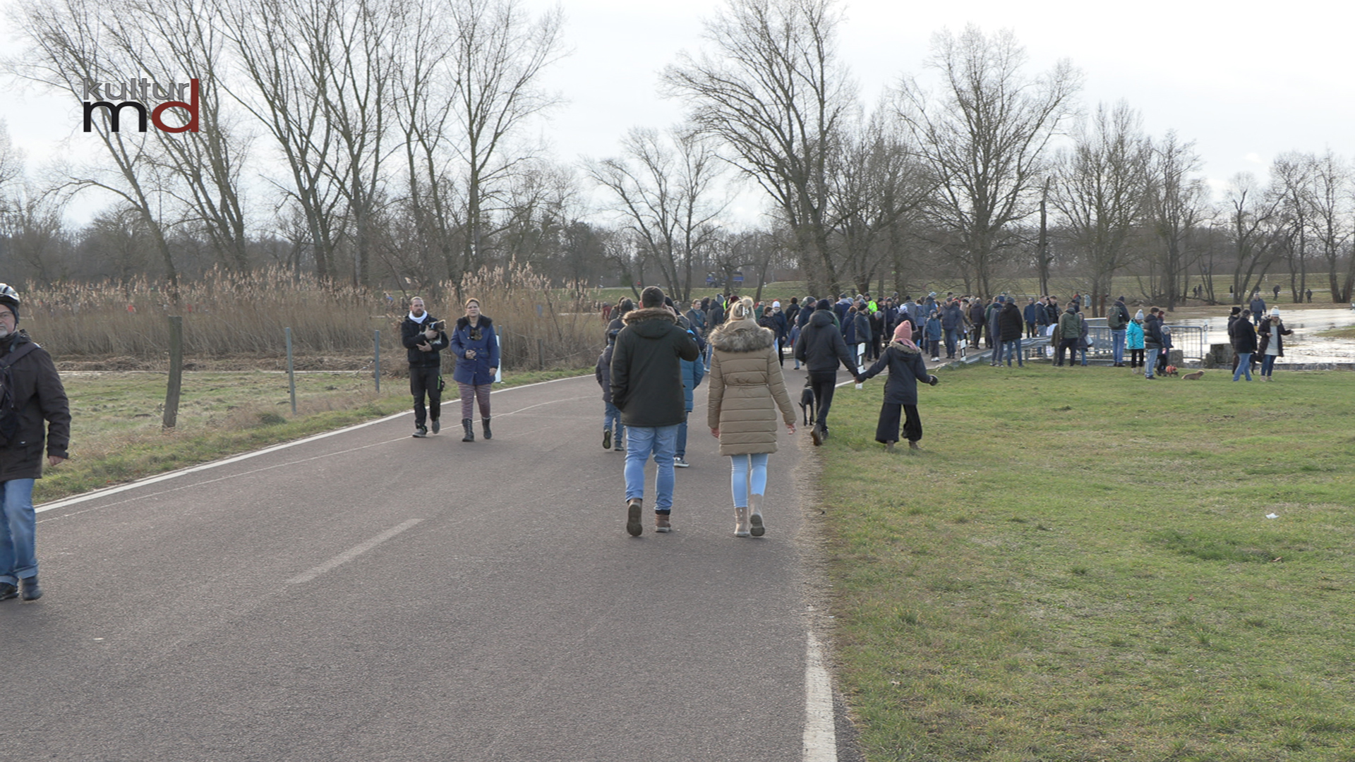 Hochwasser in MD -Pretziener Wehr gezogen