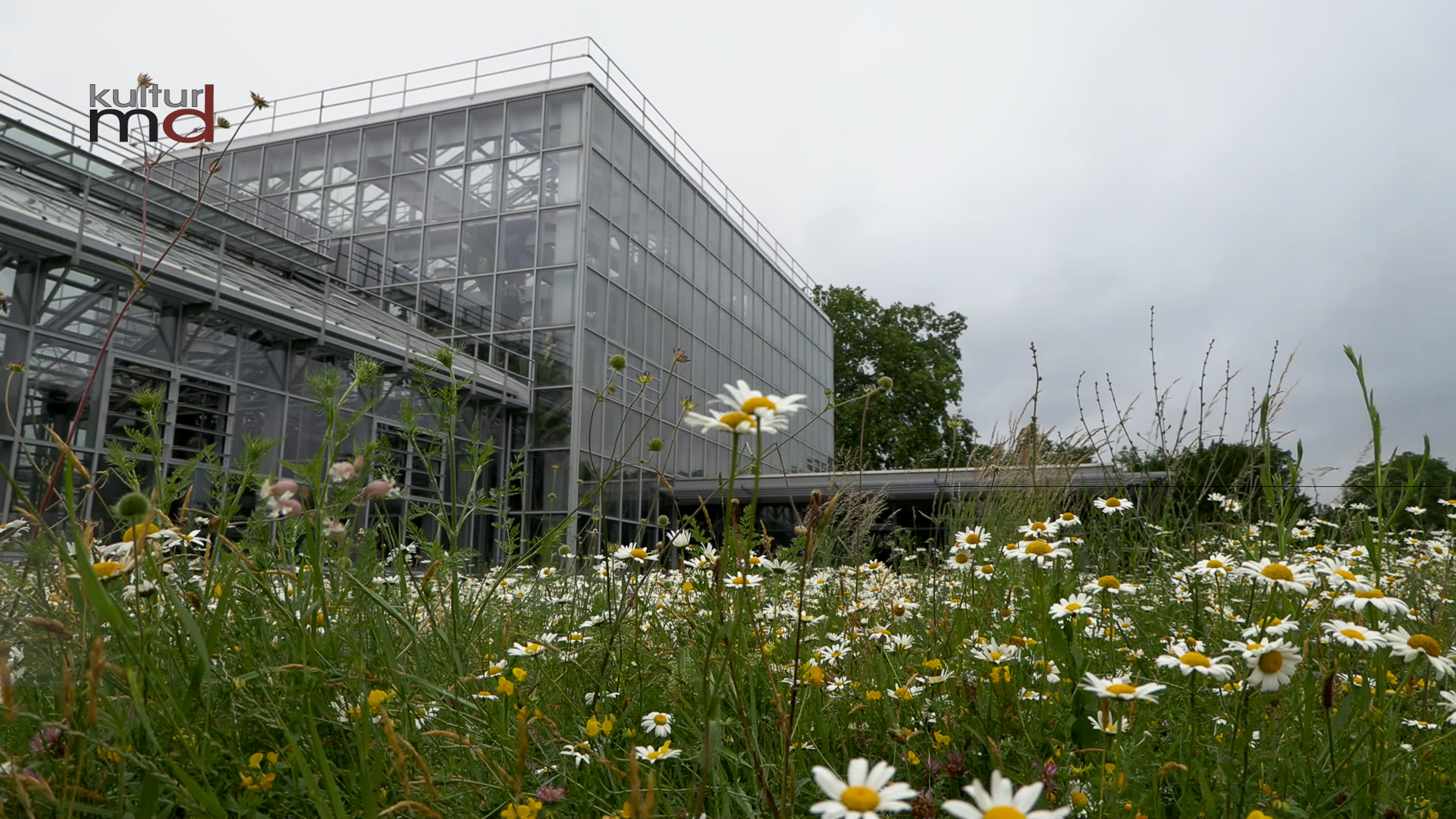 05.12.24: KMD aktuelle 15,Nachrichten 3