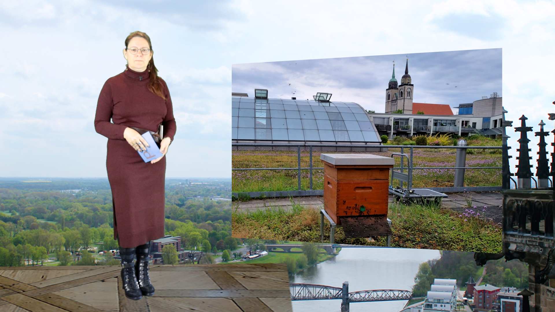 Einzug eines Bienenstockes auf dem Centerdach Allee-Center Magdeburg