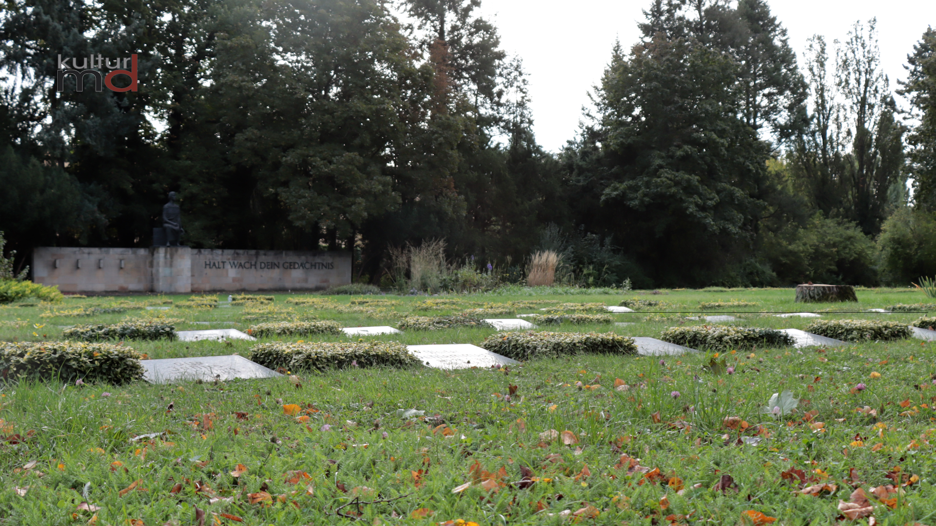 03.09.25: Sanirung von Grabsteinen des Ehrenhains für die Opfer des Faschismus