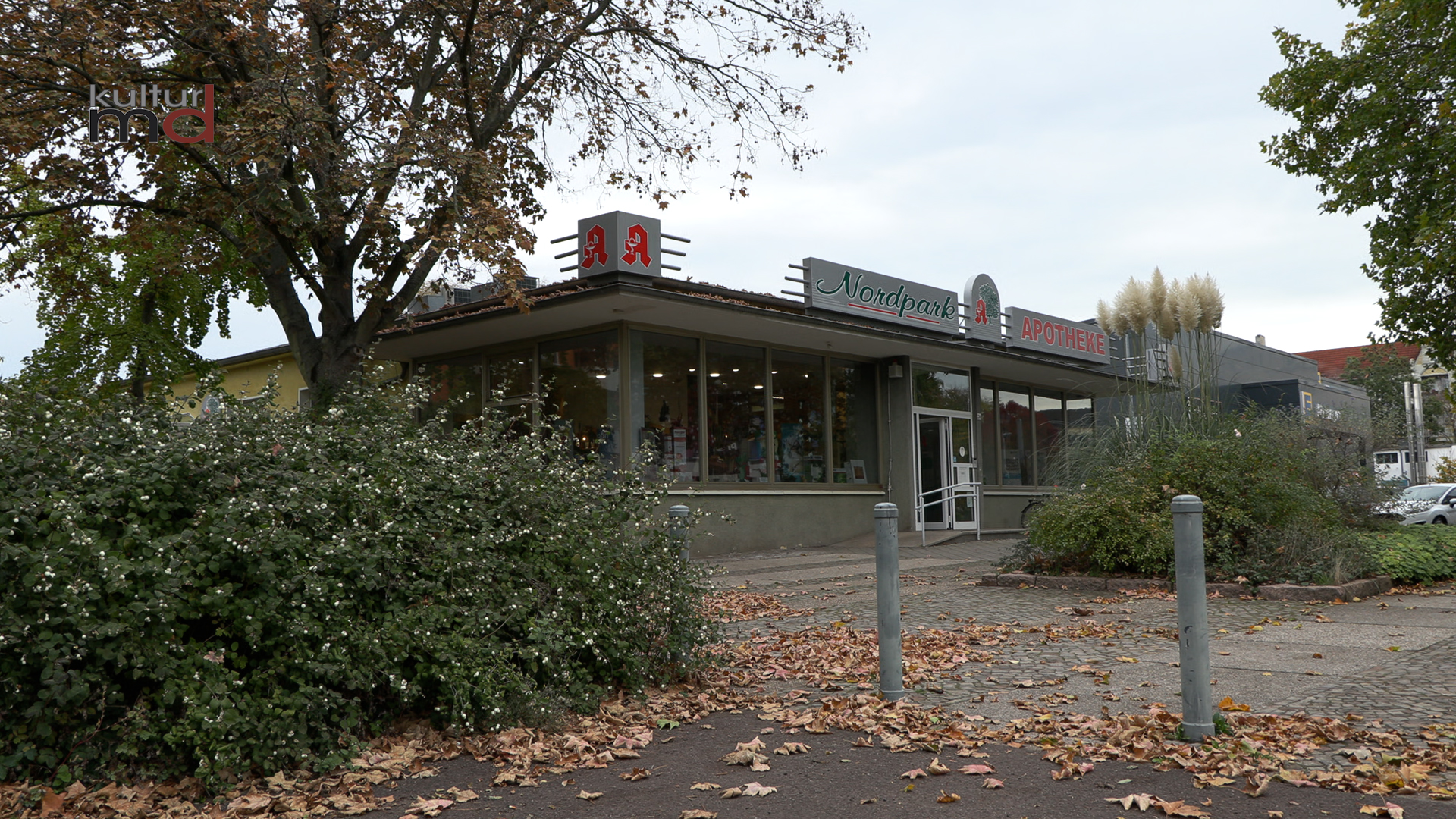 28.10.25: Tipps aus der Apotheke für den Herbst