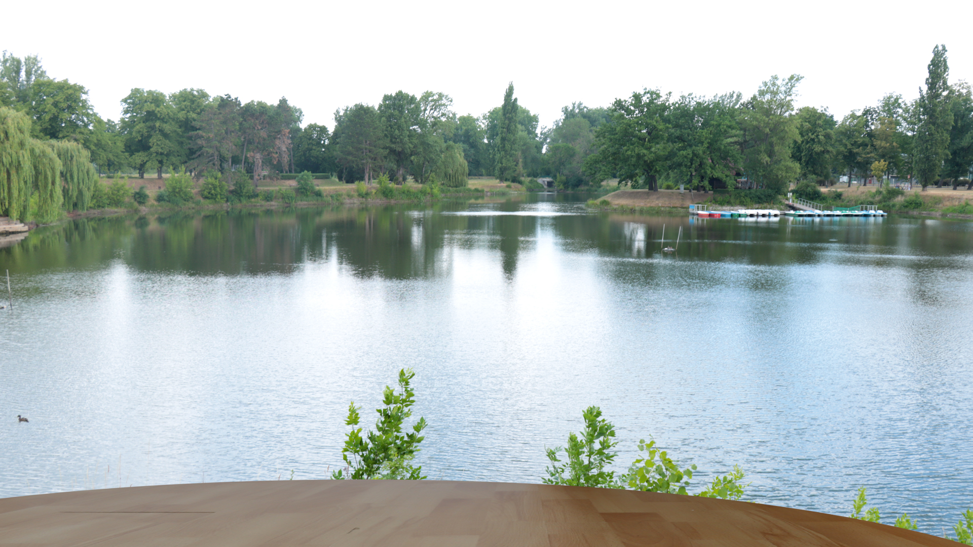 13.03.26: Von Sachsen Anhalt aus fünf Richtungen stündlich nach Berlin