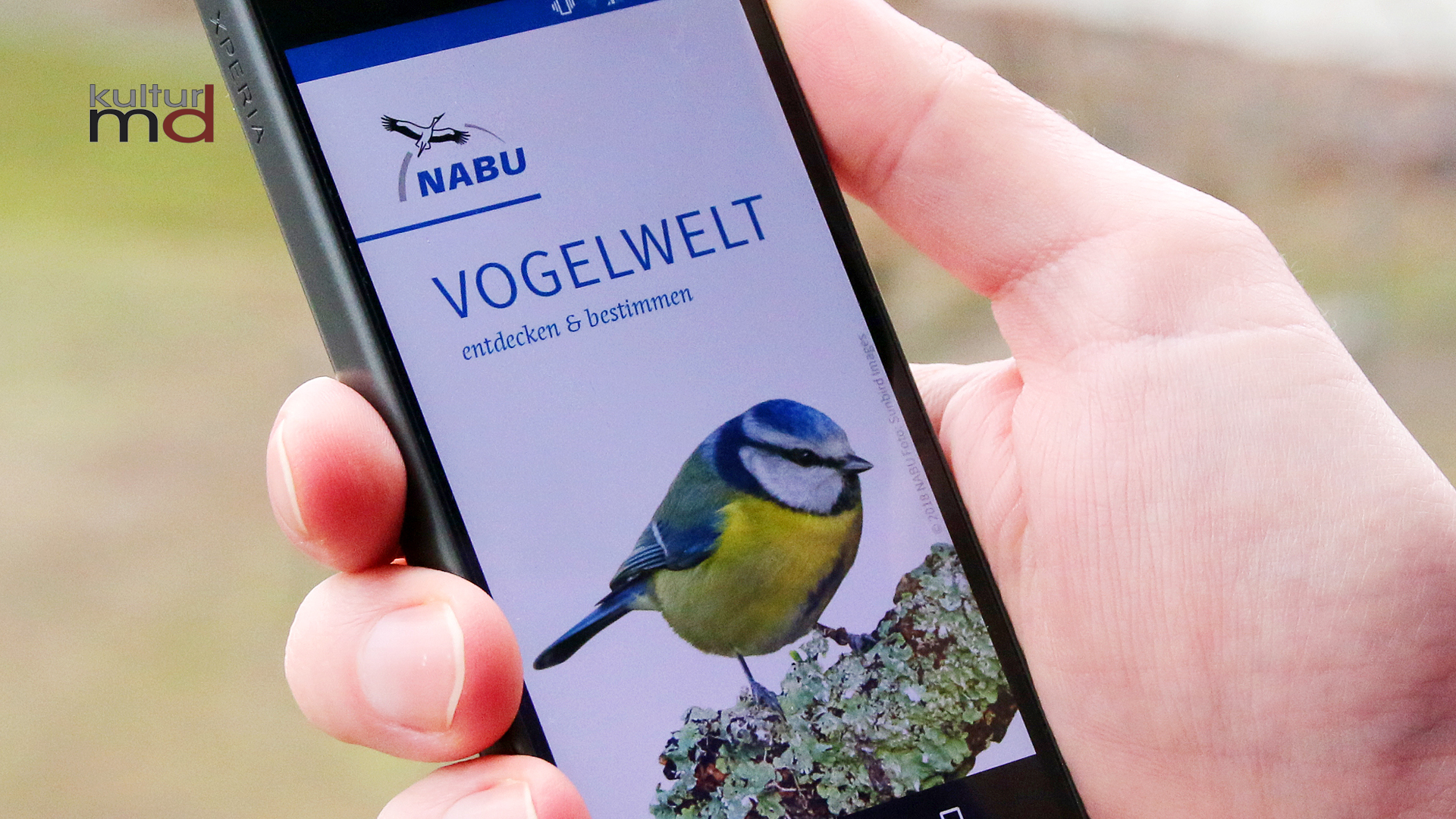 13.04.26: KMD aktuelle 15 Nachrichten1