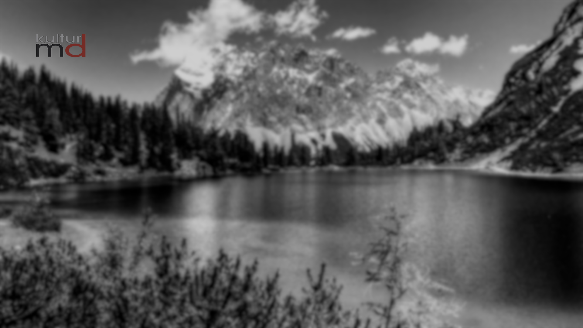 14.01.26 Heinrich Heine, Reisebilder, Reise von München nach Genua