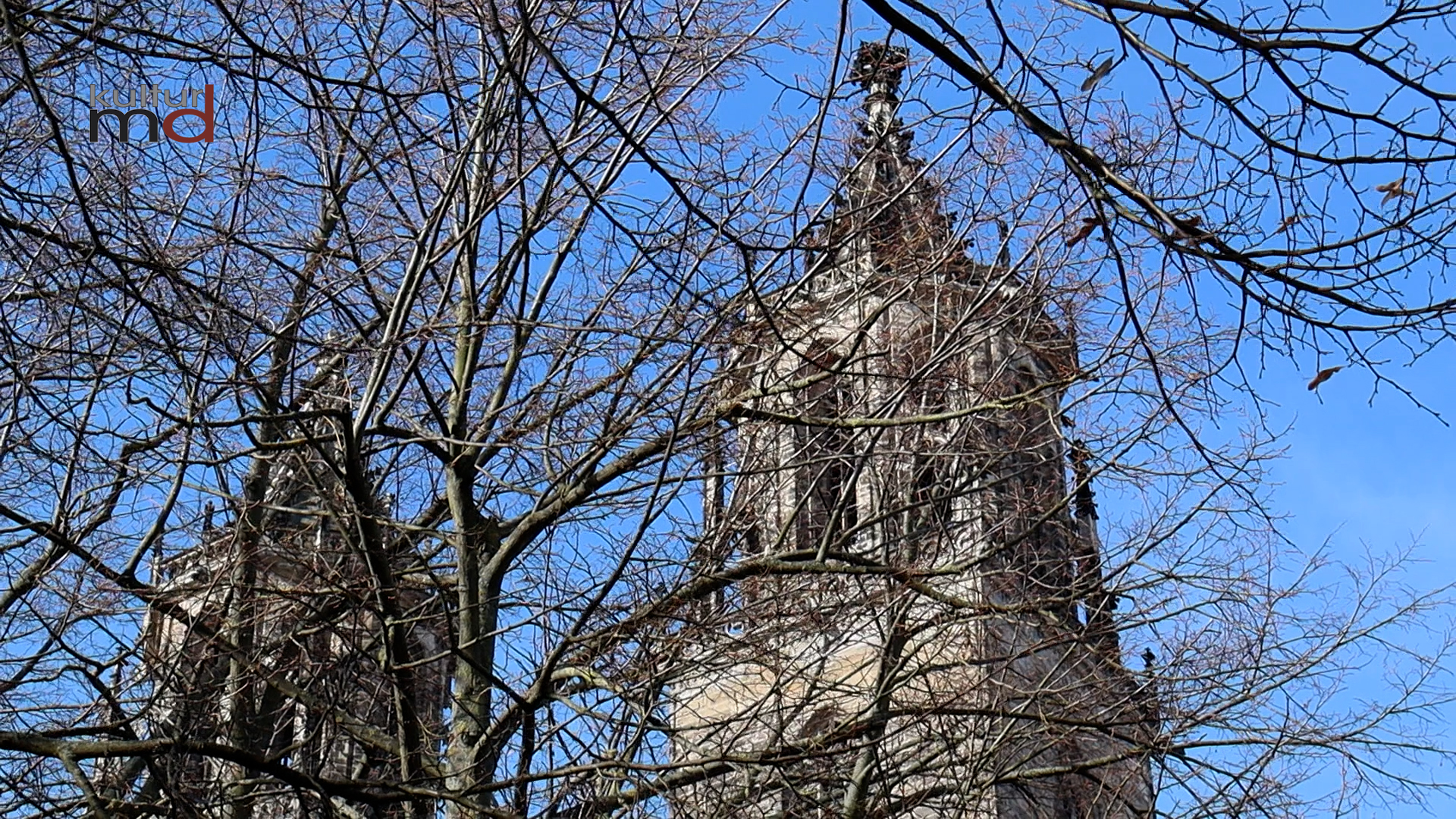 22.03.26: Ausstellung Dom, die Große Domreparatur