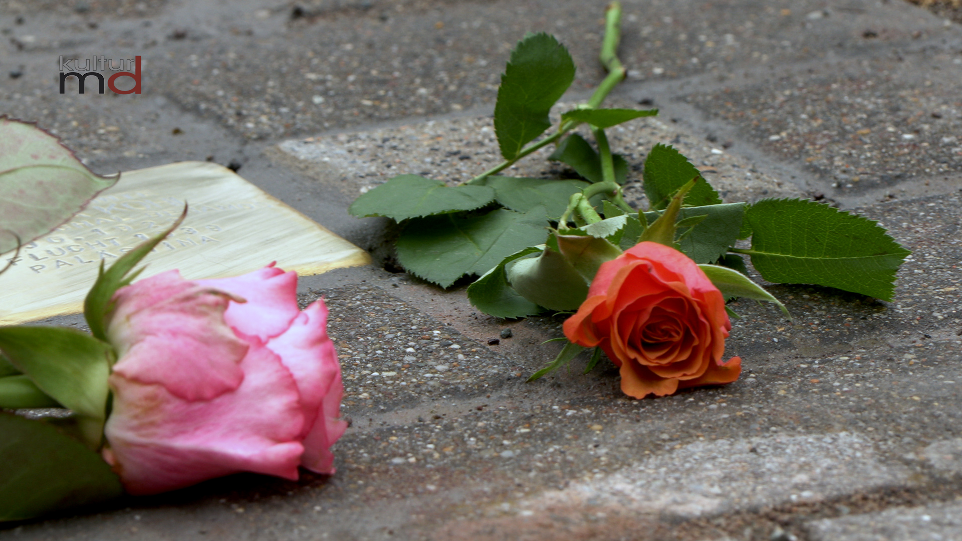 27.07.26 47ste Stolpersteinverlegung